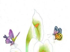 73歲屬虎是哪年生 屬虎73歲今年的命運