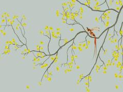 算命中傲婚什么意思 傲煞是什么意思