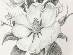 2025年五月最吉利日選擇及定親哪日好