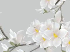 2025年4月開業哪天好 適合的最佳日子