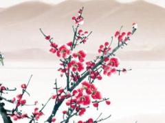 2025年4月最吉利還愿日合適 哪日最好