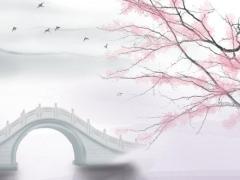 2025年4月適合結婚的吉利日與好日