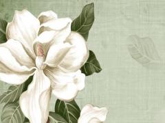 男方已經去女方要八字 男方去女方要生辰八字需要準備些什么