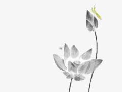 本命年男士戴什么兔子好,男生本命年戴什么