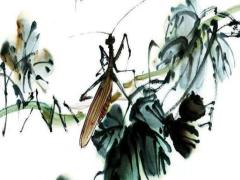 根據(jù)生辰八字怎么起名的 怎么根據(jù)生辰八字取名字