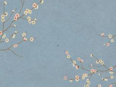 雞年蛇運程每月運勢 屬雞蛇年