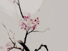 2025年5月提親吉日查詢 哪日最吉利為你安排