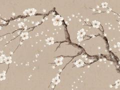 2025年適合2025年5月結婚的吉日分析 哪天最適宜