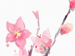 算命婚姻多久結婚 算命多長時間出結果