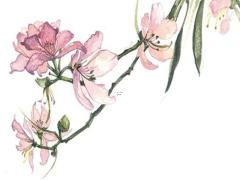 適合2025年結婚的吉日 四月搬家哪日合適