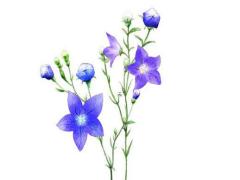 八字俗語(yǔ)大全和意思怎么寫圖片 八字諺語(yǔ)大全勵(lì)志網(wǎng)紅