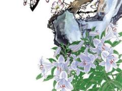 結(jié)婚幾年份 一般幾年結(jié)婚