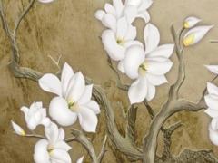 72年屬鼠的什么時候交運 72年的鼠交運在那天