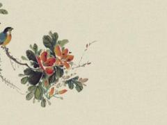 十二生肖今日明日運勢詳解 十二生肖今天明天運勢