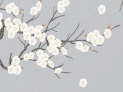 N95口罩一次能用多久 n95口罩可以一次使用多久