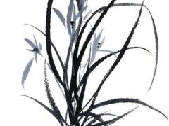 10月雙子座愛情運勢 雙子座十月感情運勢2021