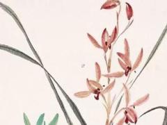 4字在周易中代表什么意思 四在周易中的說(shuō)法