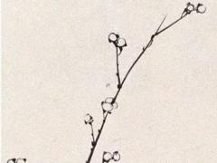 八字如何測出事業 八字中怎么看事業