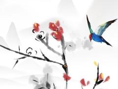 婚姻八字都有辰戌好不好 八字合婚有辰戌