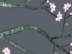 寅時出生時辰屬相是什么 寅時出生的人是什么命運