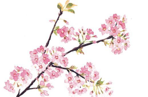 生辰八字四兩三錢 生辰八字四兩二錢 生辰八字四兩三錢 生辰八字四兩二錢