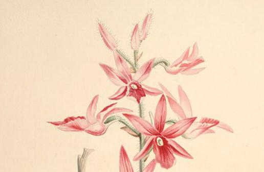 最佳搬家日查詢 2025年5月適合的日子 最佳搬家日查詢 2025年5月適合的日子