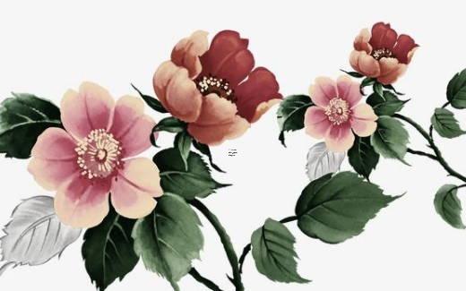 算命說的無子送終什么意思 無子送終包括女兒嗎 算命說的無子送終什么意思 無子送終包括女兒嗎