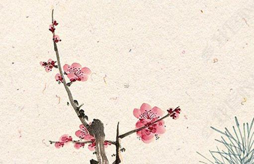 本命年兔三合生肖是什么屬相,兔本命年的大忌 本命年兔三合生肖是什么屬相,兔本命年的大忌