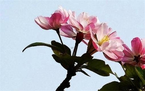 2025年5月裝修房子哪天好日子推薦 2025年5月裝修房子哪天好日子推薦