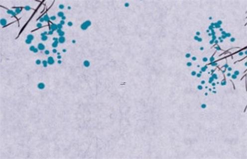 2025年五月購車合適日子推薦 哪日最好 2025年五月購車合適日子推薦 哪日最好