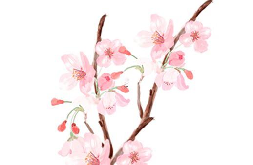 易經(jīng)手表是什么意思 易經(jīng)手卦圖解 易經(jīng)手表是什么意思 易經(jīng)手卦圖解