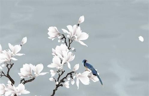 男寶寶八字偏強是什么意思 男孩八字偏強是什么意思 男寶寶八字偏強是什么意思 男孩八字偏強是什么意思