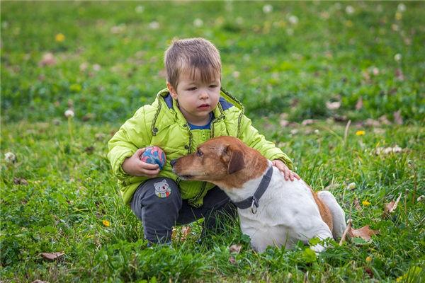 突然夢見去世很久的外公 突然夢見去世很久的外公