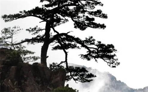 2025年五月適合修墳的吉日測(cè)算 哪天合適 2025年五月適合修墳的吉日測(cè)算 哪天合適