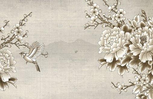 喜水木去哪個方向發展,喜水木去哪個城市 喜水木去哪個方向發展,喜水木去哪個城市