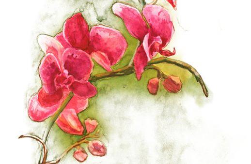 2025年五月哪天吉利適合重要事項(xiàng) 2025年五月哪天吉利適合重要事項(xiàng)