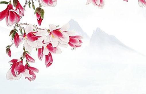 八字單單十居后什么意思 八字單單十居后陽光探碼 八字單單十居后什么意思 八字單單十居后陽光探碼