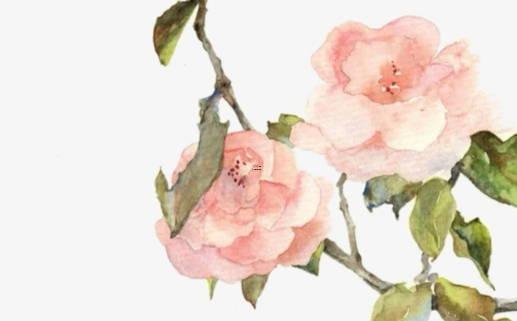 2025年5月最吉利裝修日 哪日適合開工