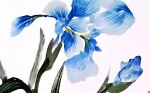 87年兔本命年戴啥飾品好,87年的兔本命佛是什么 87年兔本命年戴啥飾品好,87年的兔本命佛是什么