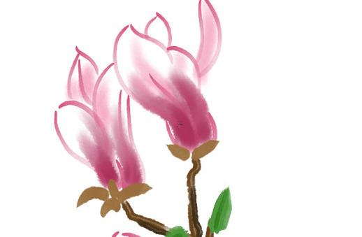 2025年五月開業最佳吉日推薦 2025年五月開業最佳吉日推薦