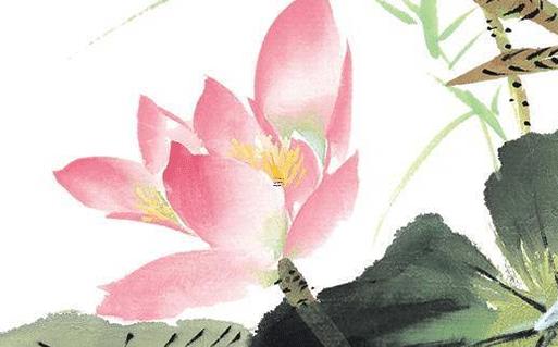 屬虎人戴什么辟邪旺財 屬虎人永遠最旺的顏色 屬虎人戴什么辟邪旺財 屬虎人永遠最旺的顏色