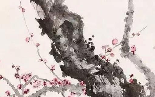 為什么說屬羊的命苦 為什么會說屬羊的命不好 為什么說屬羊的命苦 為什么會說屬羊的命不好