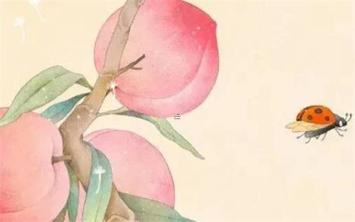 屬虎未時出生的女孩命運 屬虎女未時生一生命運 屬虎未時出生的女孩命運 屬虎女未時生一生命運