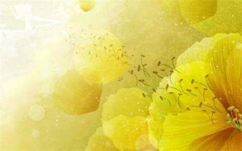 2025年5月剪頭發最佳吉日查詢哪日好 2025年5月剪頭發最佳吉日查詢哪日好