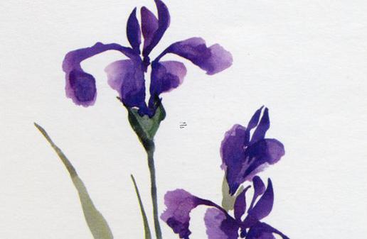 屬雞幾日出生更好命呢 屬雞幾日出生不好命 屬雞幾日出生更好命呢 屬雞幾日出生不好命