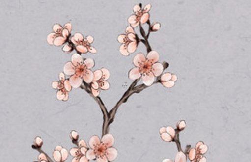 82年屬狗人最窮不過41歲為什么呢,82年屬狗41歲有一災 82年屬狗人最窮不過41歲為什么呢,82年屬狗41歲有一災