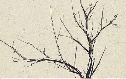 2025年5月最佳提車日 查詢適宜日期 2025年5月最佳提車日 查詢適宜日期