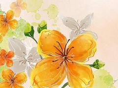 農歷十五出生的人性格和命運 農歷十五日出生的人的命運