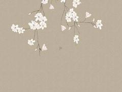 兔本命年適合搬家嗎女孩子,兔年本命年女性佩戴什么好