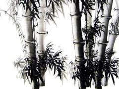 2025年五月搬家吉利日推薦和測算